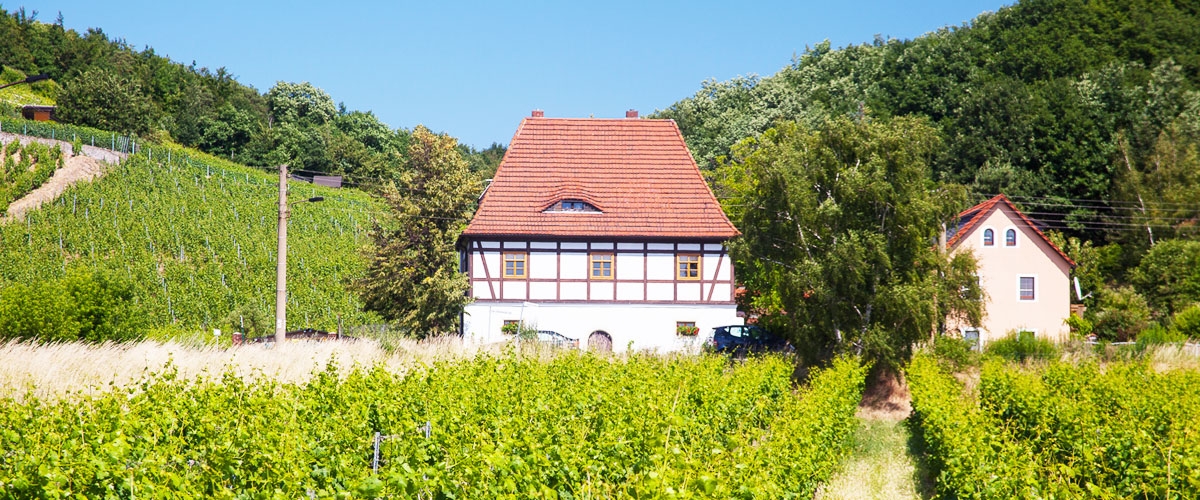 Galeriebild Coswig und Umgebung